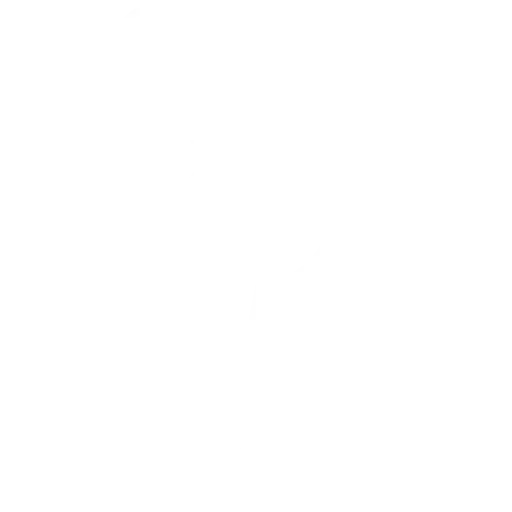 OCR Texterkennung